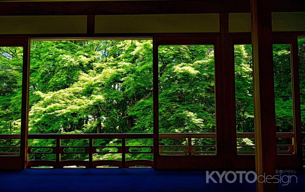 書院からの眺め