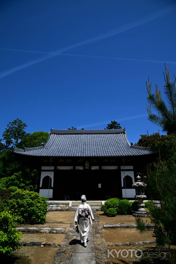 大雄殿　颯爽と