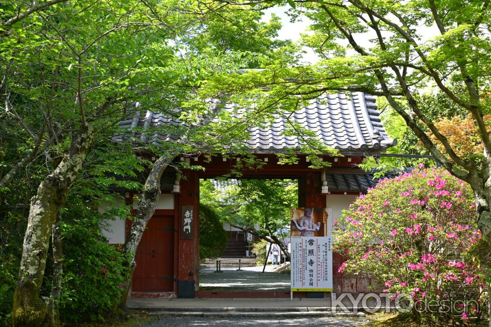 常照寺 春期京都非公開文化財特別公開　2024