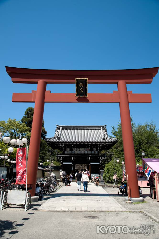 梅宮大社神幸祭　2024