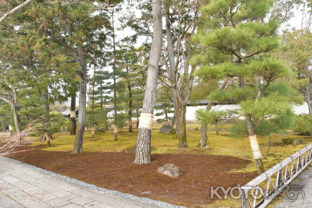 智積院　入口３