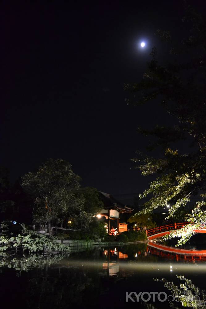 神泉苑　観月会