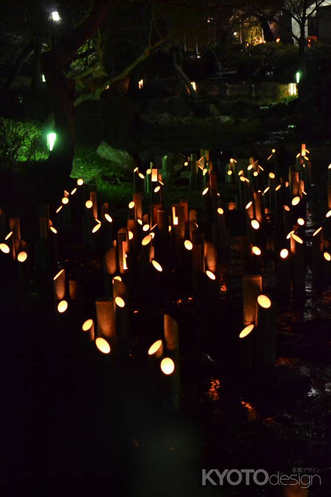 東山花灯路　円山公園　竹灯り