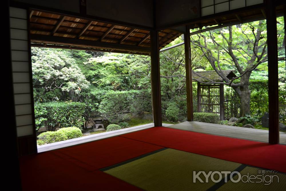 桂春院　書院から見た侘の庭