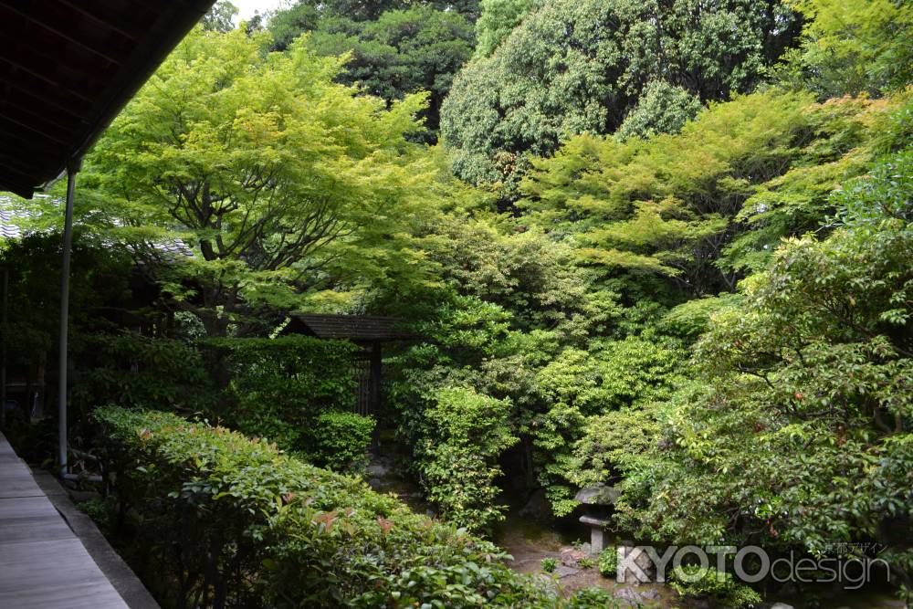 桂春院　方丈から見る思惟の庭