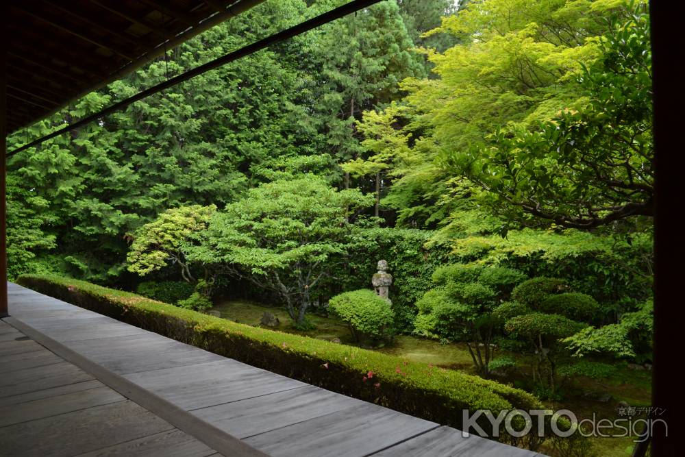桂春院　真如の庭