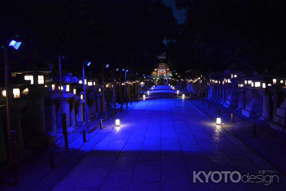 石清水八幡宮　青く光る参道