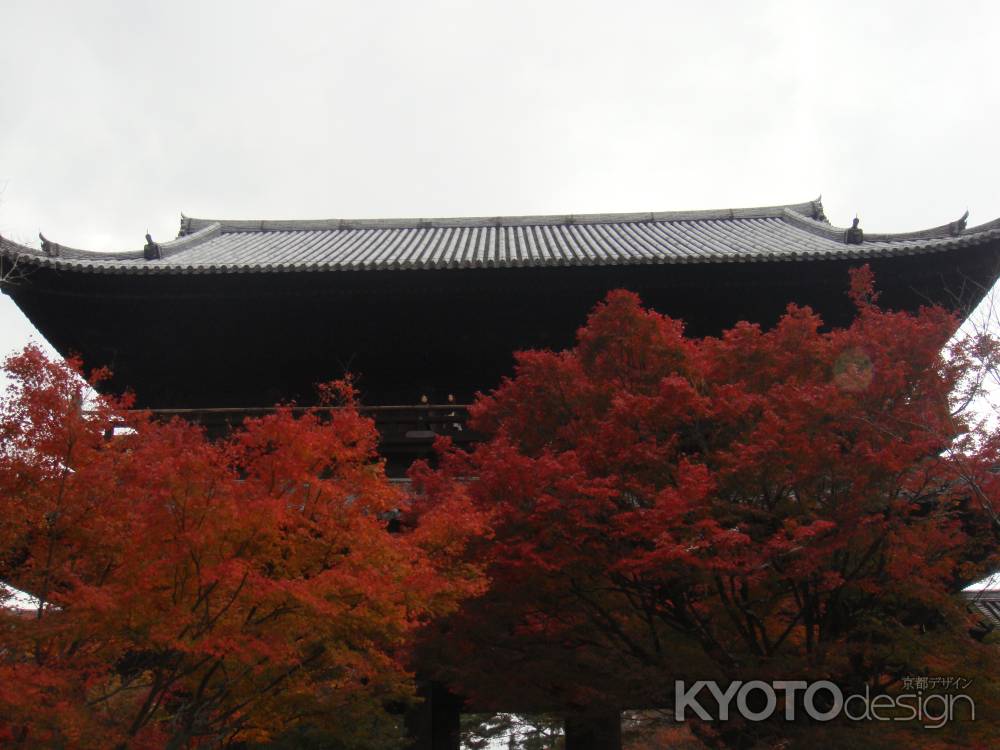 南禅寺　三門の紅葉
