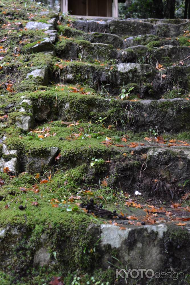 来迎院　苔生す石段