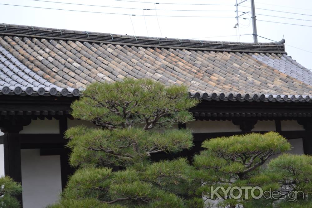 東寺　蓮華門の瓦