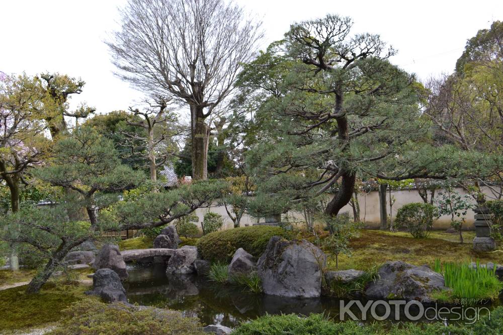 正伝永源院　池と庭園