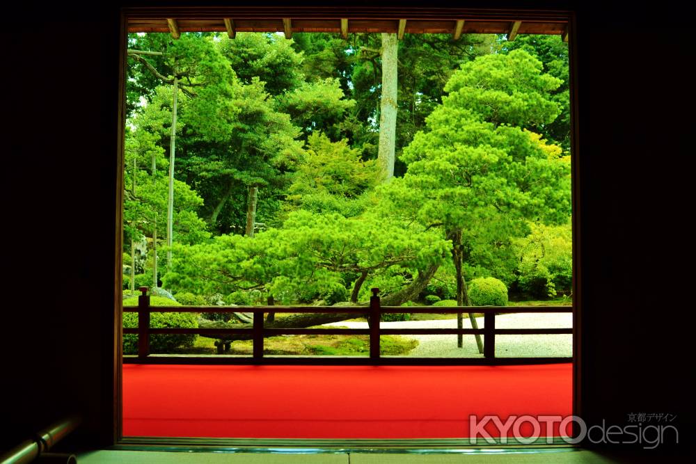 大書院より五葉の松を望む…