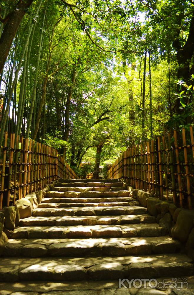 木漏れ日の小径