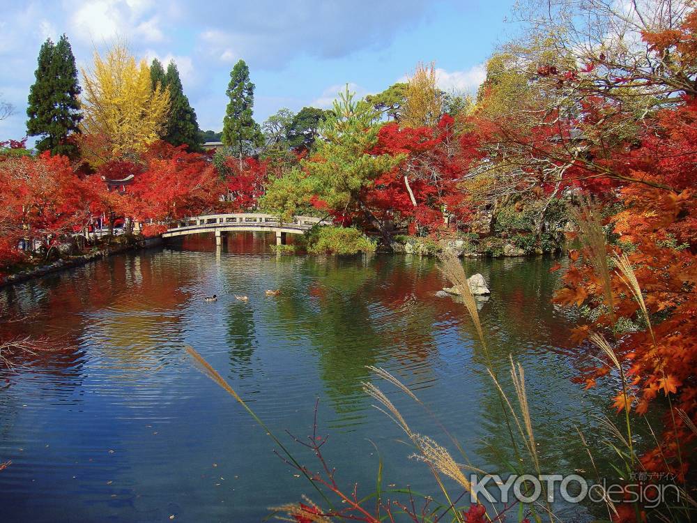 永観堂の秋