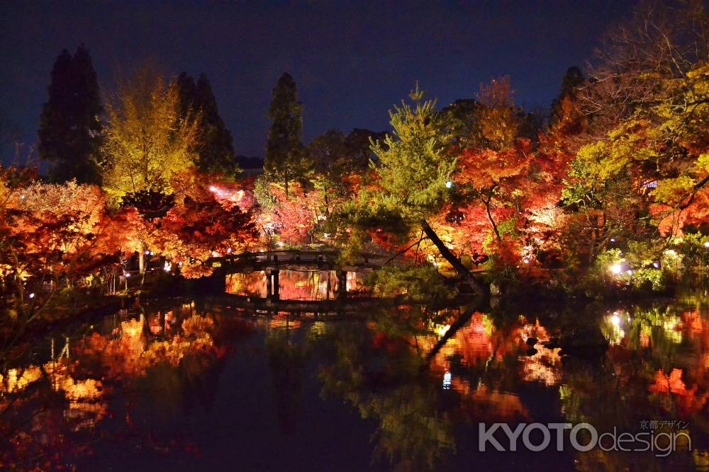 秋夜の永観堂