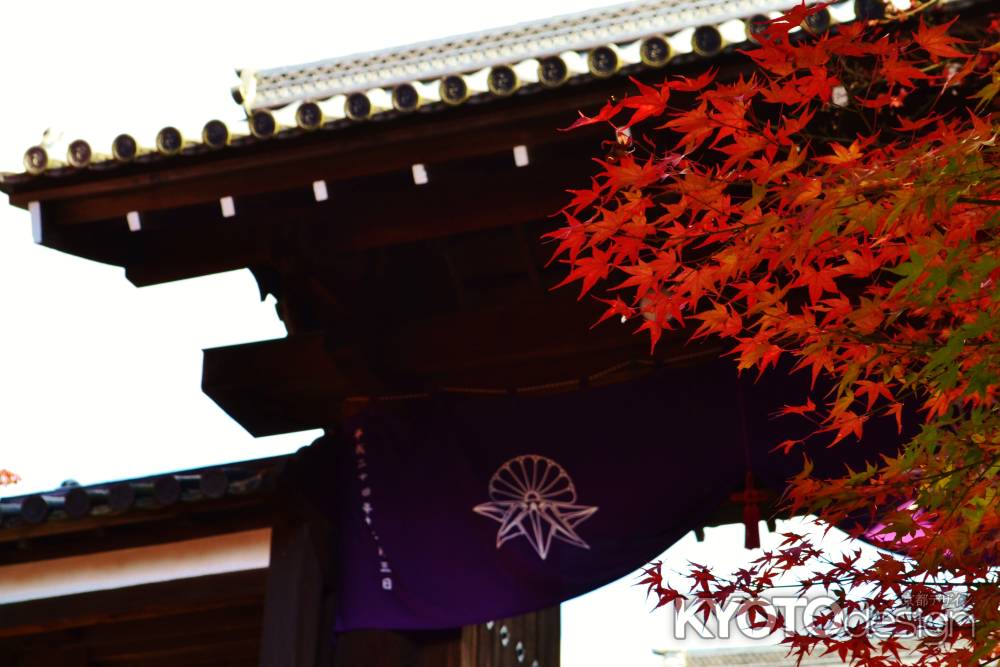 勅使門の紅葉