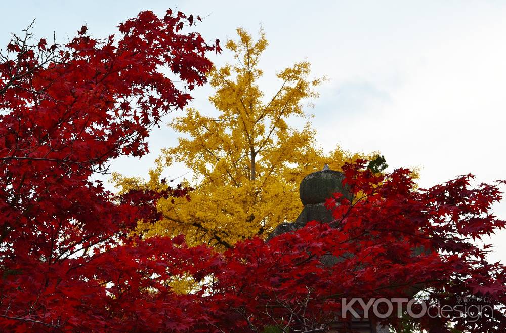 紅葉と銀杏