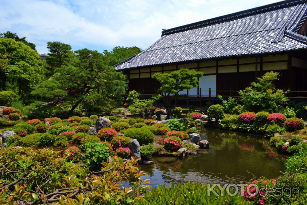 等持院のさつき