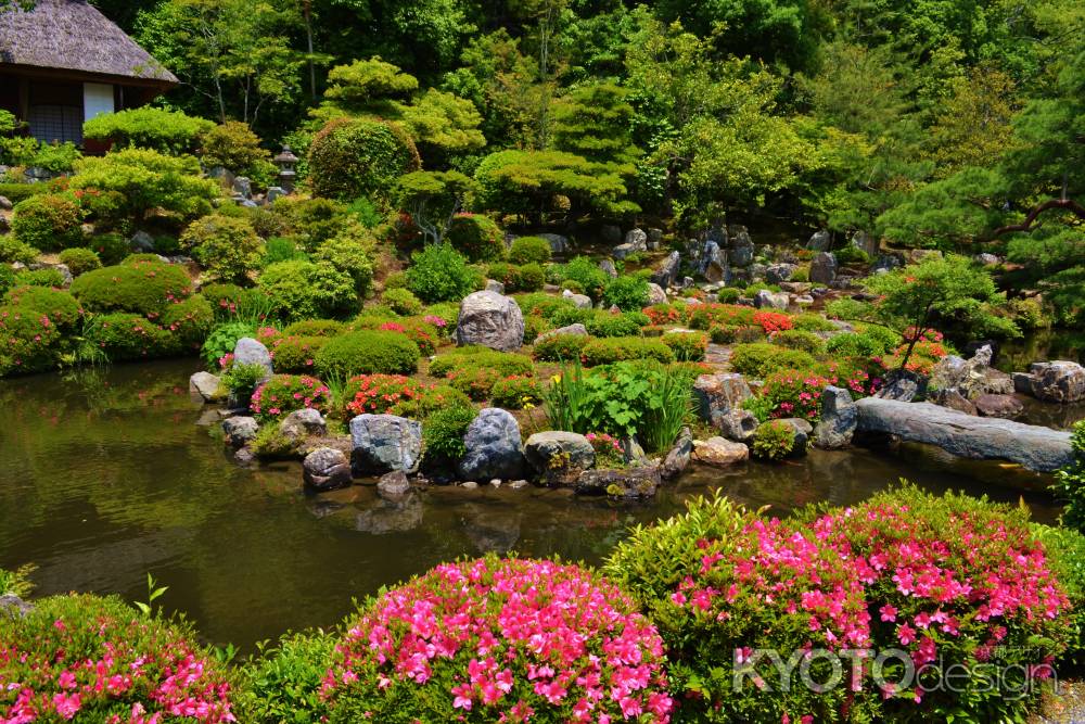 芙蓉池とさつき
