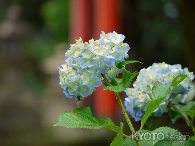 洛西の月読神社です