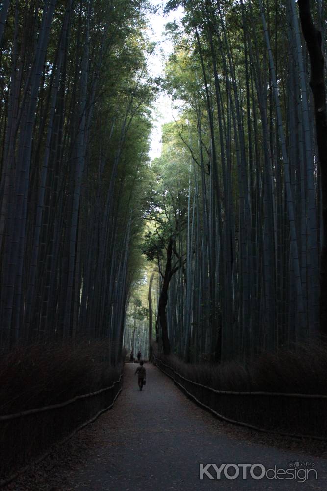 嵐山　竹林
