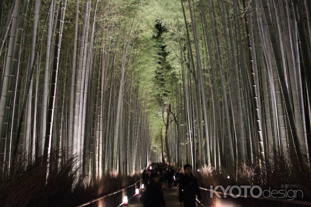 嵐山花灯路 竹林の道