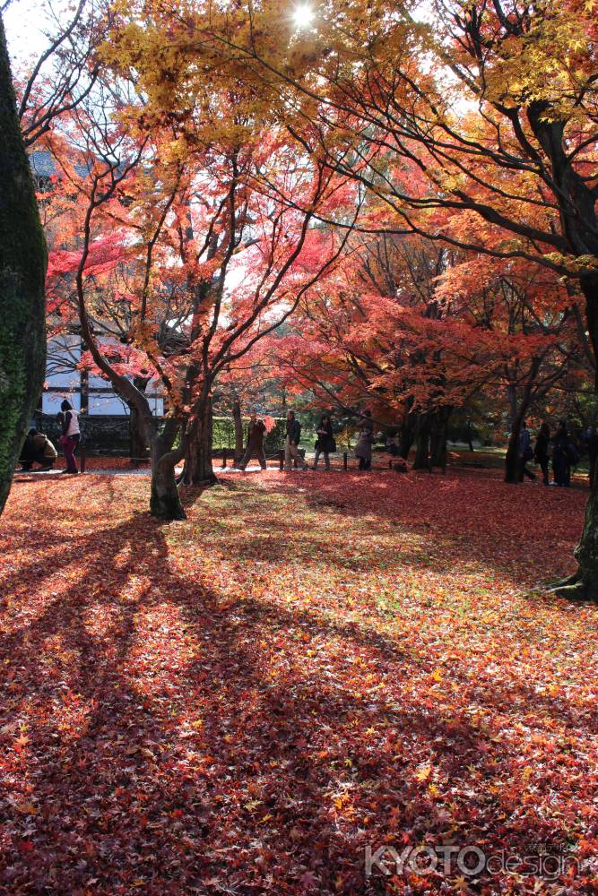 東福寺の紅葉7