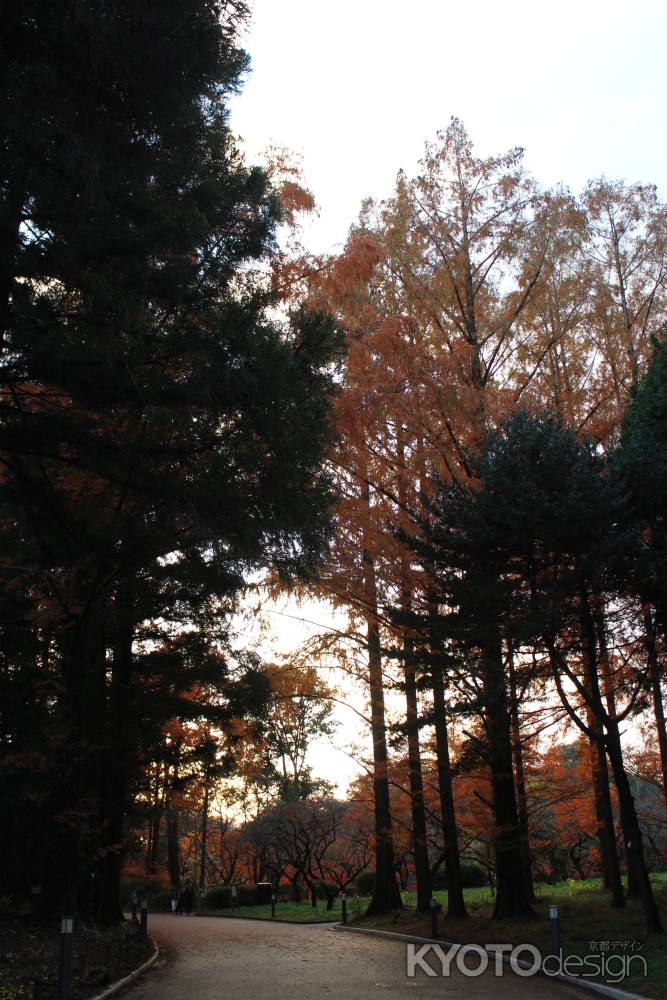 京都府立植物園-2