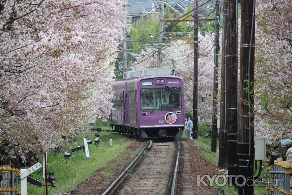 嵐電桜のトンネル