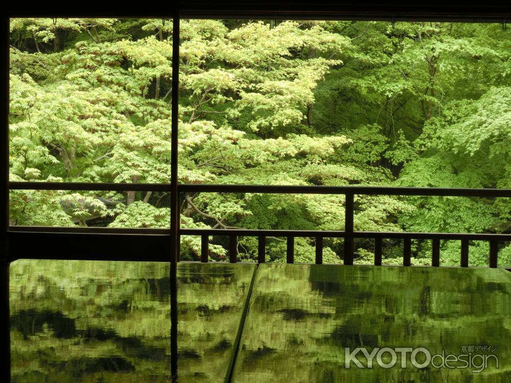 瑠璃光院の青紅葉