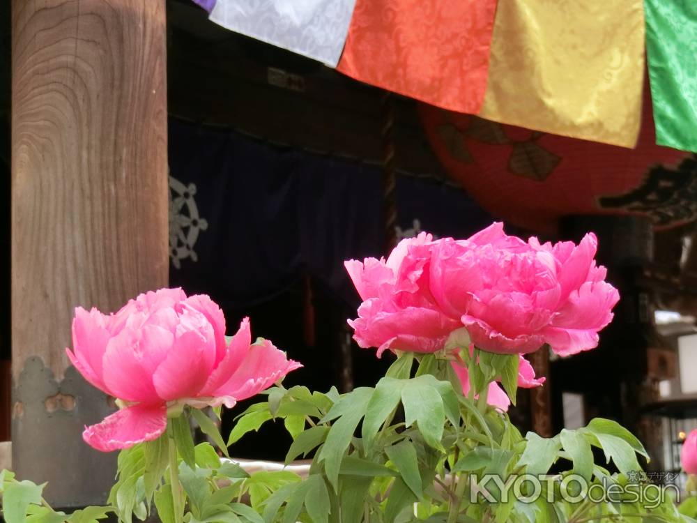 紫雲山　頂法寺　六角堂3