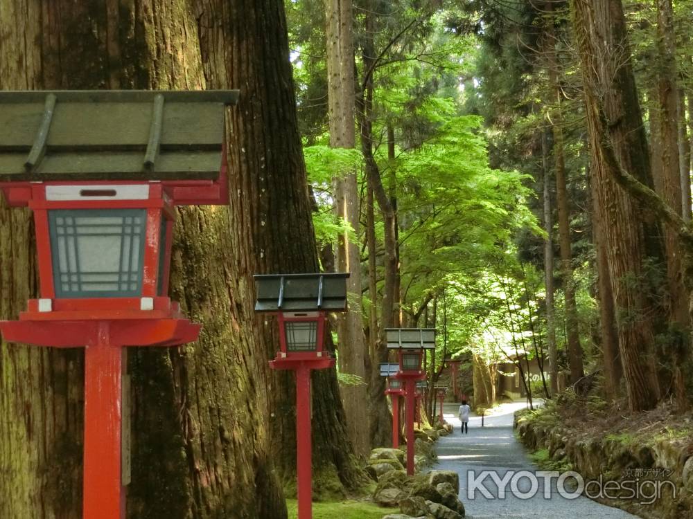 貴船神社　奥社参道