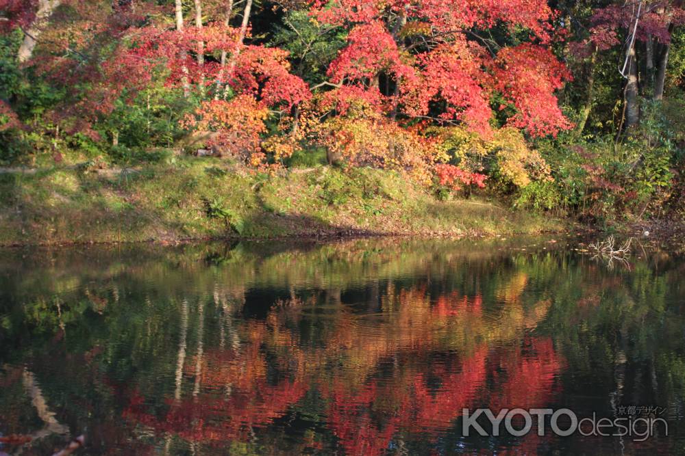 京都府立植物園