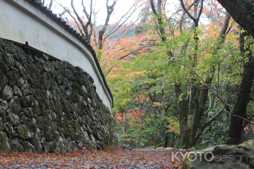 紅葉の高雄　高山寺　石水院3