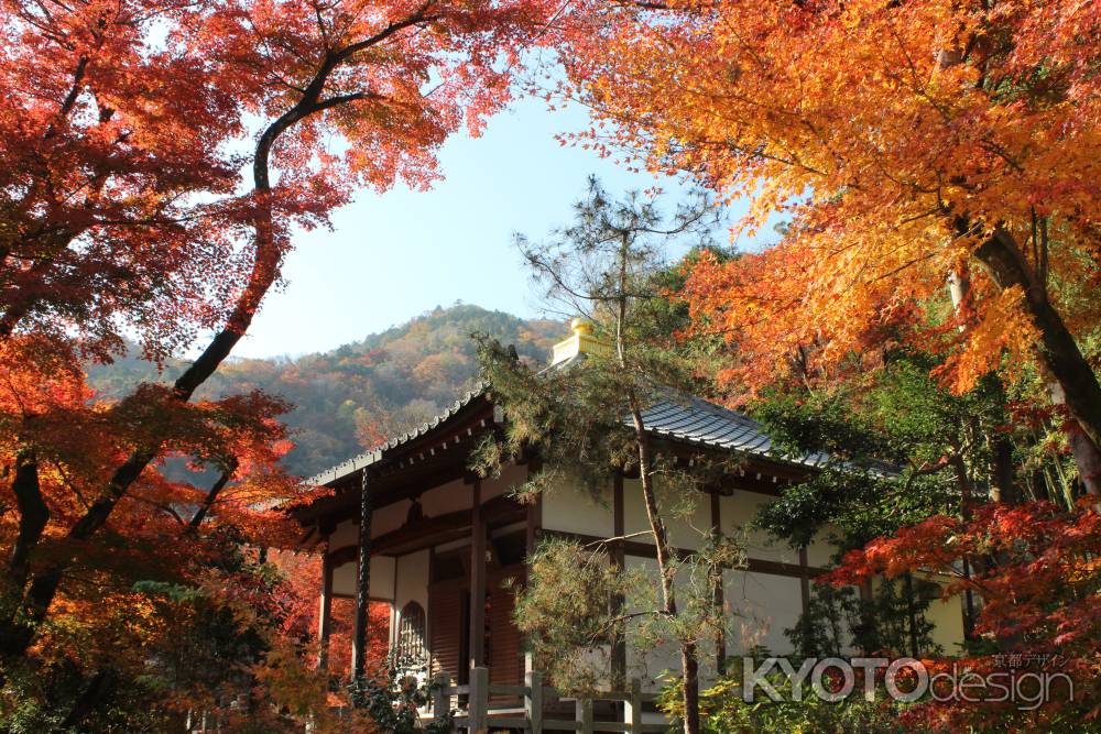 宝厳院の紅葉