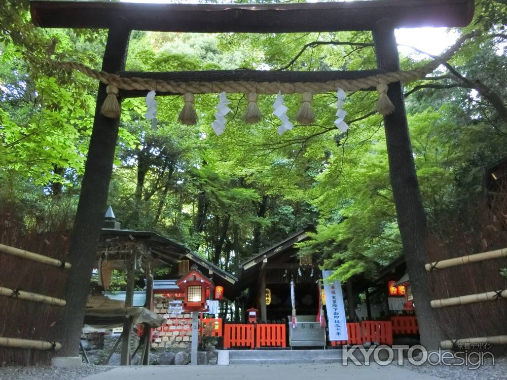 野宮神社 黒木鳥居