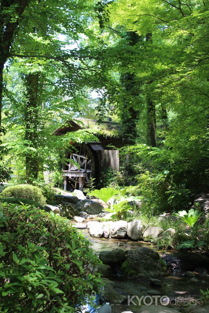 京都府立植物園