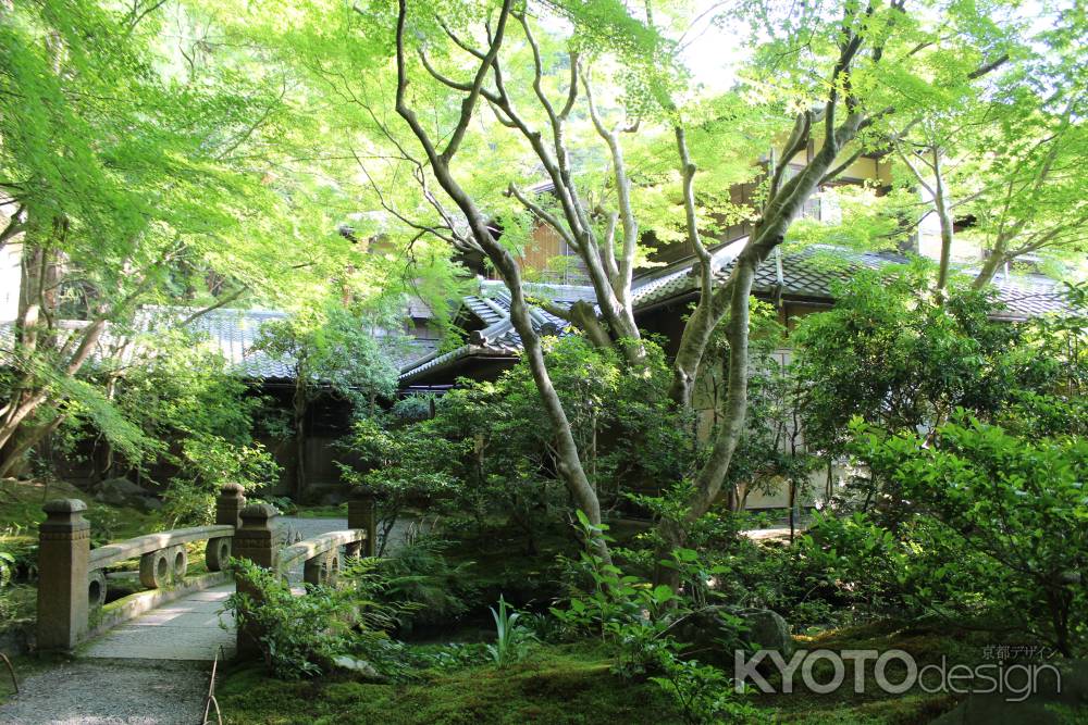 瑠璃光院　緑に包まれる