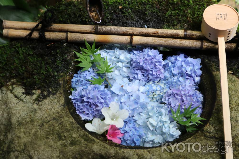 柳谷観音手水鉢あじさい