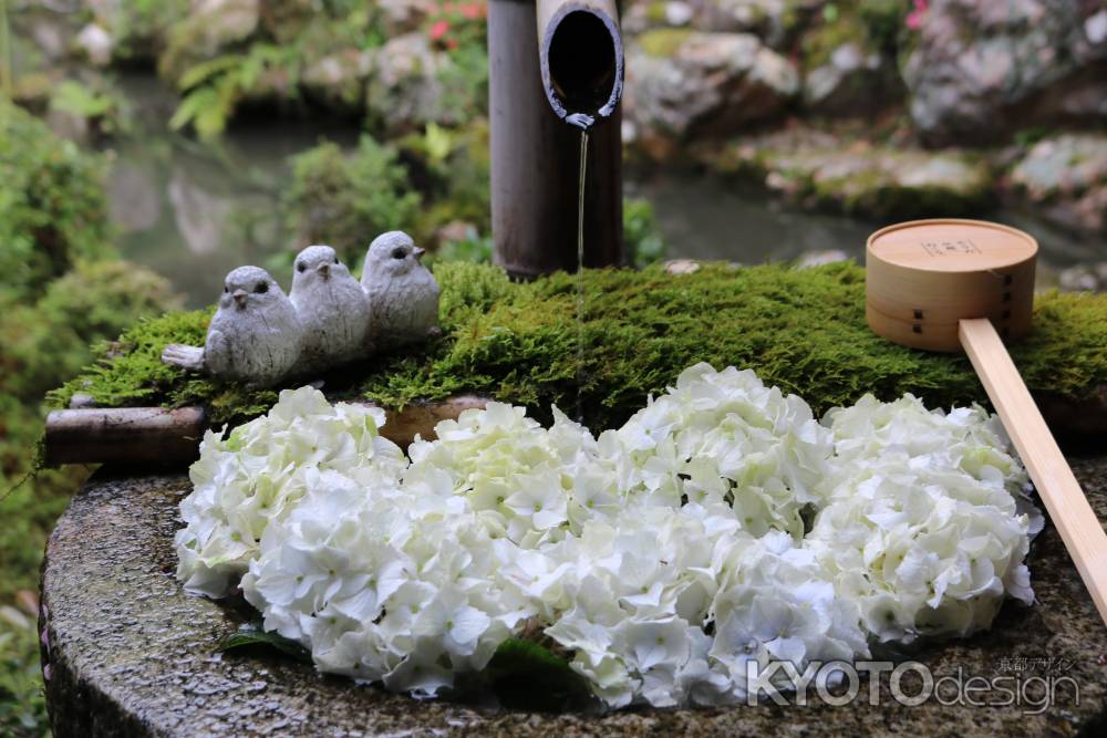 柳谷観音あじさいと鳥