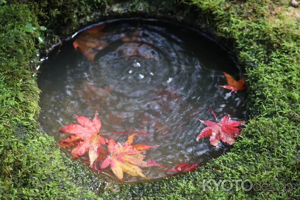 大河内山荘　紅葉5