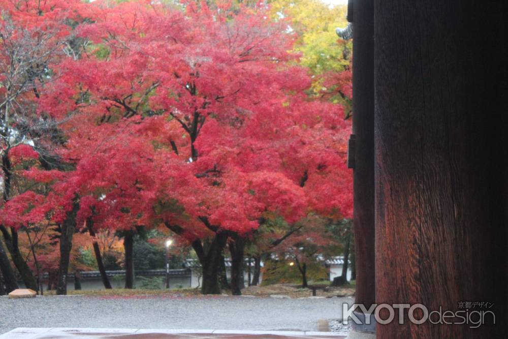 南禅寺　紅葉