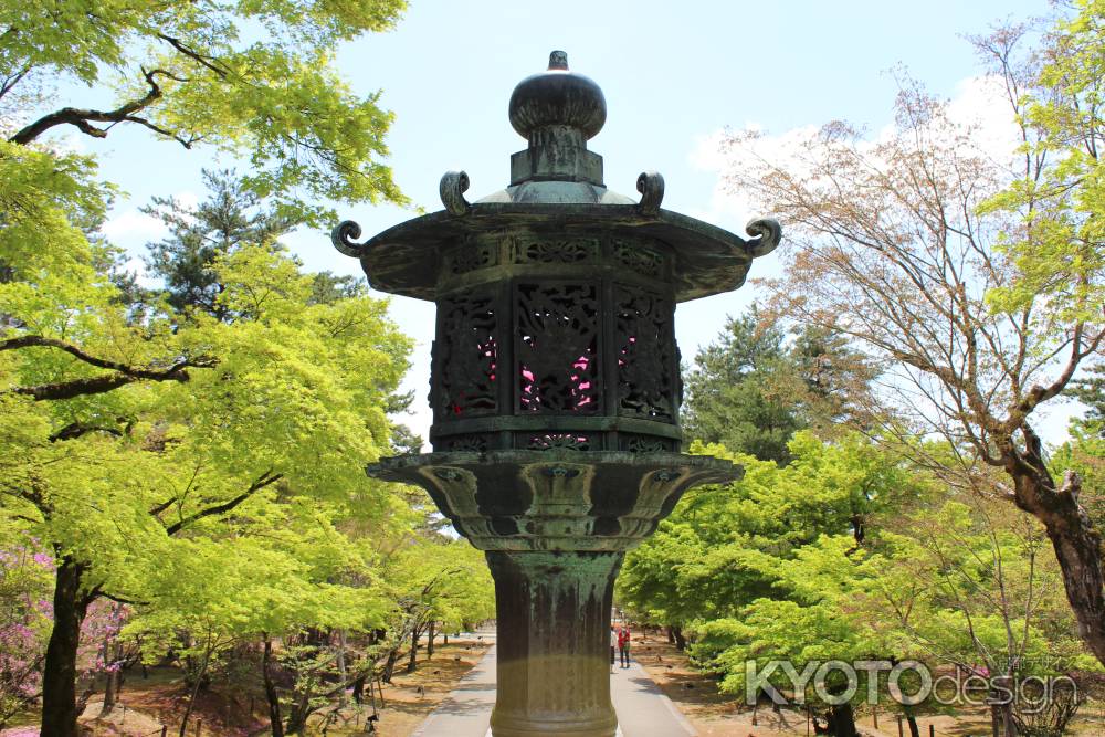 仁和寺の青紅葉