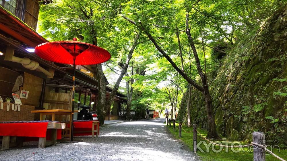 大原三千院参道