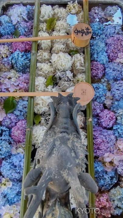 柳谷観音楊谷寺　あじさい花手水