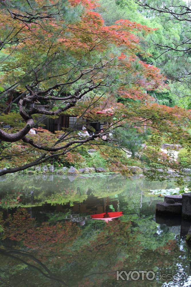 平安神宮　神苑　