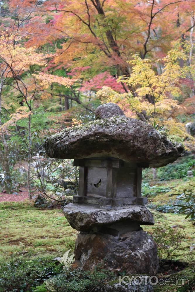 大原　三千院の紅葉13