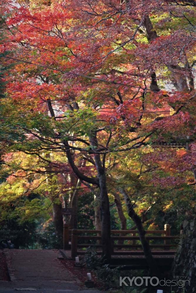 大原　三千院の紅葉2