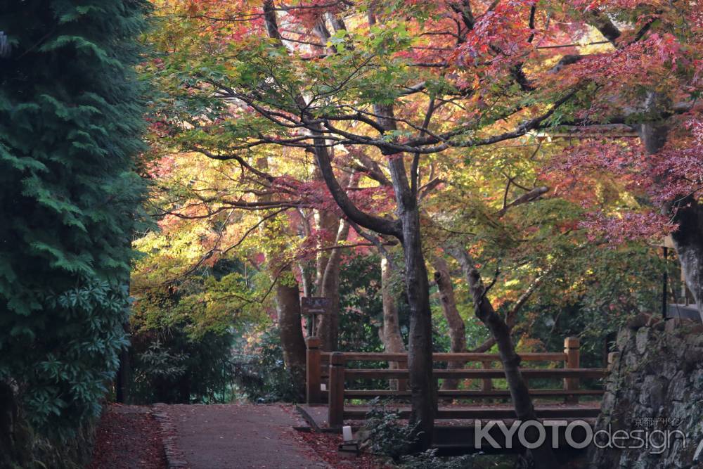 大原　三千院の紅葉4