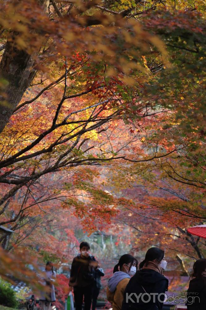 大原　三千院の紅葉